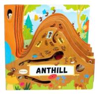 Anthill di Petra Bartikova edito da Fox Chapel Publishing