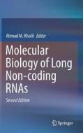 Molecular Biology of Long Non-coding RNAs edito da Springer International Publishing