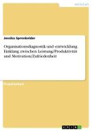 Organisationsdiagnostik und -entwicklung. Einklang zwischen Leistung/Produktivität und Motivation/Zufriedenheit di Jessika Sprenkelder edito da GRIN Verlag