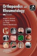 Orthopaedics And Rheumatology In Focus di Ariane L. Herrick, J.Glynne Andrew, Lennard Funk, Charles Hutchinson edito da Elsevier Health Sciences