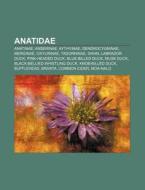 Anatidae: Anatidae, Musk Duck, Branta, B di Books Llc edito da Books LLC, Wiki Series