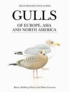 Gulls Of Europe, Asia And North America di Klaus Malling Olsen edito da Bloomsbury Publishing Plc