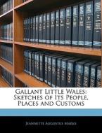 Gallant Little Wales: Sketches Of Its Pe di Jeannette Augustus Marks edito da Nabu Press