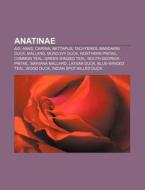 Anatinae: Anatinae, Knob-billed Duck, Mo di Books Llc edito da Books LLC, Wiki Series