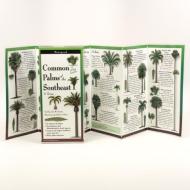 The Ultimate Guide to Common Palms of the Southeast & Texas edito da Steven M. Lewers & Associates