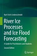 River Ice Processes And Ice Flood Forecasting di Karl-Erich Lindenschmidt edito da Springer International Publishing AG