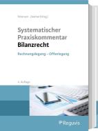 Systematischer Praxiskommentar Bilanzrecht edito da Reguvis Fachmedien GmbH