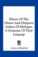 History of the Ottawa and Chippewa Indians of Michigan: A Grammar of Their Language di Andrew J. Blackbird edito da Kessinger Publishing