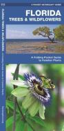 Florida Trees & Wildflowers: A Folding Pocket Guide to Familiar Species di James Kavanagh edito da Waterford Press
