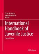 International Handbook of Juvenile Justice edito da Springer-Verlag GmbH