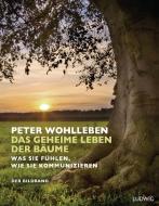 Das geheime Leben der Bäume di Peter Wohlleben edito da Ludwig Verlag