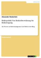 Risikopolitik: Von Risikoüberwälzung bis Risikotragung di Alexander Weckerlein edito da GRIN Publishing