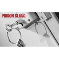 Prison Slang di W.C. Irvine edito da Abson Books London
