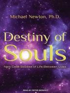Destiny of Souls: New Case Studies of Life Between Lives di Michael Newton edito da Tantor Media Inc