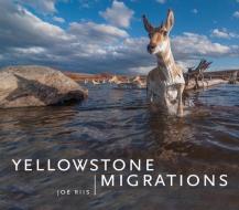 Yellowstone Migrations edito da MOUNTAINEERS BOOKS