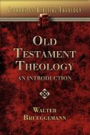 Old Testament Theology di Walter Brueggemann edito da Abingdon Press
