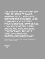 The Laws of the State of New York Relating to Banks, Banking, Trust, Investment, Safe Deposit, Personal Loan Companies and Brokers, Private Bankers, S di Willis Seaver Paine edito da Rarebooksclub.com