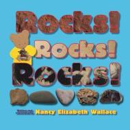 Rocks! Rocks! Rocks! di Nancy Elizabeth Wallace edito da TWO LIONS