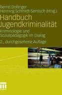 Handbuch Jugendkriminalitat edito da Springer Fachmedien Wiesbaden