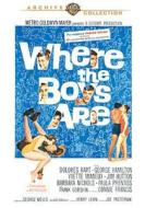 Where the Boys Are edito da Warner Bros. Digital Dist