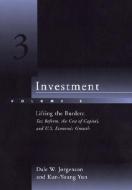 Investment di Dale W. Jorgenson, Kun-Young Yun edito da Mit Press Ltd