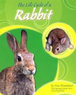 The Life Cycle of a Rabbit di Lisa Trumbauer edito da Pebble Books
