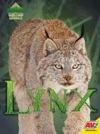 Lynx di Blaine Wiseman edito da AV2 BY WEIGL