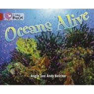 Oceans Alive di Angie Belcher edito da HarperCollins Publishers