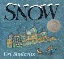 Snow di Uri Shulevitz edito da FARRAR STRAUSS & GIROUX