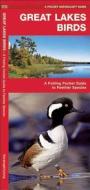 Great Lakes Birds: An Introduction to Familiar Species di James Kavanagh edito da Waterford Press