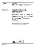 Seclusions and Restraints: Selected Cases of Death and Abuse at Public and Private Schools and Treatment Centers di United States Government Account Office edito da Createspace Independent Publishing Platform