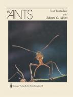 The Ants di Bert Hölldobler, Edward O. Wilson edito da Springer-Verlag GmbH