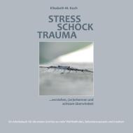 Stress Schock Trauma ... verstehen, (an)erkennen und achtsam überwinden di Elisabeth M. Koch edito da Books on Demand