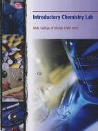 Introductory Chemistry Lab edito da CENGAGE LEARNING
