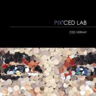 Pix' Ced Lab: Ced Vernay di Cedric Vernay, Catherine Vernay edito da Createspace