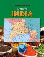 Namaste, India di Corey Anderson edito da CHERRY LAKE PUB