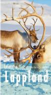 Lesereise Lappland di Barbara Schaefer edito da Picus Verlag GmbH