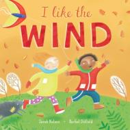 I Like the Wind di Sarah Nelson edito da BAREFOOT BOOKS