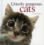 Utterly Gorgeous Cats di Pam Brown edito da Helen Exley Giftbooks