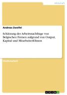 Schätzung der Arbeitsnachfrage von Belgischen Firmen aufgrund von Output, Kapital und Mitarbeiterlöhnen di Andreas Zweifel edito da GRIN Publishing