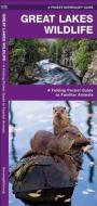 Great Lakes Wildlife: A Folding Pocket Guide to Familiar Species di James Kavanagh edito da Waterford Press