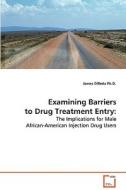 Examining Barriers to Drug Treatment Entry: di James DiReda edito da VDM Verlag Dr. Müller e.K.