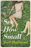 See How Small di Scott Blackwood edito da Harpercollins Publishers