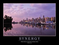 Synergy Poster di Enna edito da Taylor & Francis Ltd