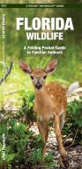 Florida Wildlife: An Introduction to Familiar Species di James Kavanagh edito da Waterford Press