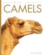 Camels di Kate Riggs edito da CREATIVE ED & PAPERBACKS