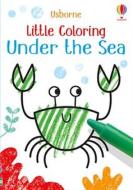 Little Coloring Under the Sea di Kirsteen Robson edito da USBORNE BOOKS