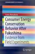 Consumer Energy Conservation Behavior After Fukushima di Isamu Matsukawa edito da Springer Singapore