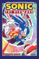 Sonic the Hedgehog, Vol. 17: Adventure Awaits di Ian Flynn edito da Gefen Books