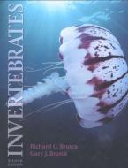 Invertebrates di Richard C. Brusca, Gary J. Brusca edito da Sinauer Associates Inc.,U.S.
